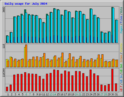 Daily usage for July 2024