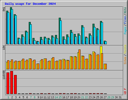 Daily usage for December 2024