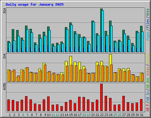 Daily usage for January 2025