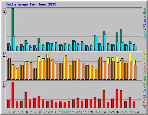 Daily usage for June 2025