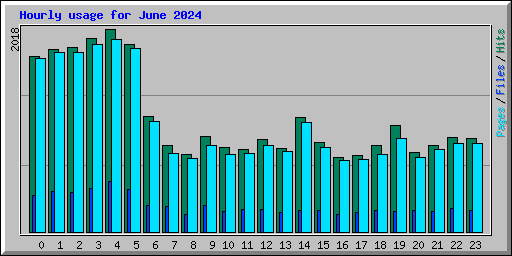 Hourly usage for June 2024