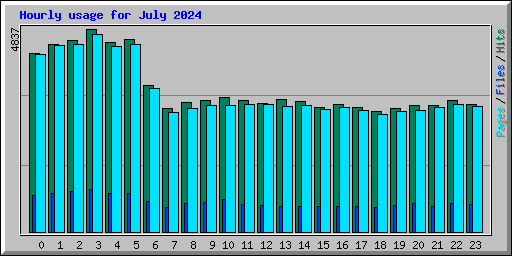 Hourly usage for July 2024