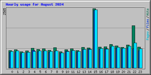 Hourly usage for August 2024