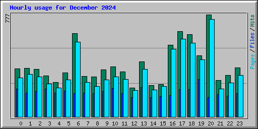 Hourly usage for December 2024