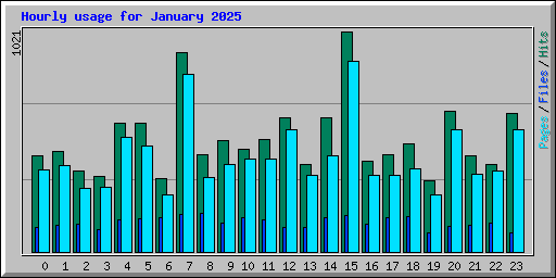 Hourly usage for January 2025