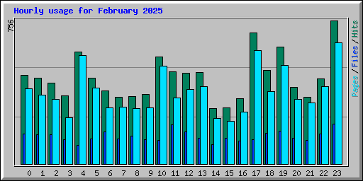 Hourly usage for February 2025