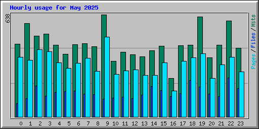 Hourly usage for May 2025
