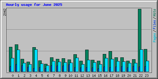 Hourly usage for June 2025