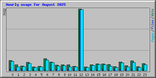 Hourly usage for August 2025