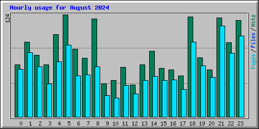 Hourly usage for August 2024